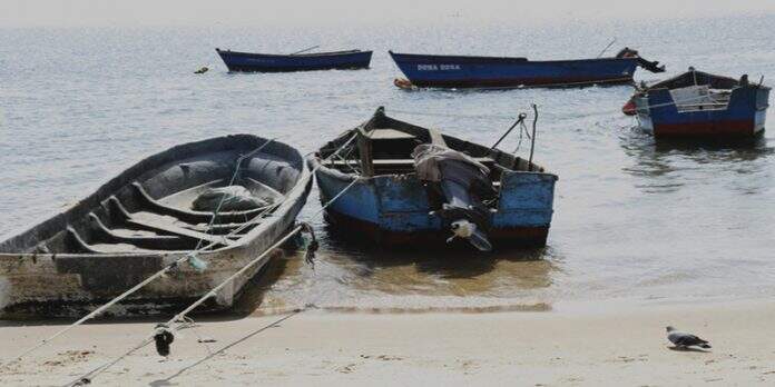 Embarcações apreendidas no Namibe por pesca ilegal-noticiasdeangola-NA