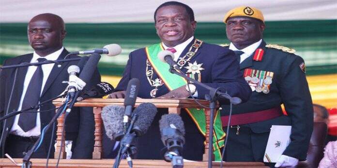 PR do Zimbabwe quer vender reserva de marfim avaliada em 600 milhões de dólares